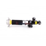 Aerosus Bmw Σειρά 5 F07 GT/F07 Gt Lci Αμορτισέρ Πίσω Δεξιά Με Vdc 2010, 2011, 2012, 2013, 2014, 2015, 2016, 2017 - 164627