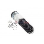 Aerosus Bmw Σειρά 7 F02/F04 Αριστερό Ή Δεξί Πίσω Αερανάρτηση 2008, 2009, 2010, 2011, 2012, 2013, 2014, 2015 - 165761