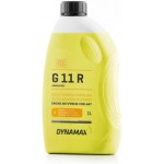 DYNAMAX COOL G11 R Type D 1L - Concetrate
