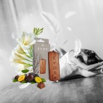 K2 Ξύλινο Κρεμαστό Αρωματικό EVOS Grace Angel - V041