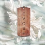 K2 Ξύλινο Κρεμαστό Αρωματικό EVOS Grace Angel - V041