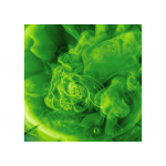 K2 Πράσινος Ενεργός Αφρός Active Foam Green 5Kg - M100Z