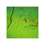 K2 Πράσινος Ενεργός Αφρός Active Foam Green 5Kg - M100Z