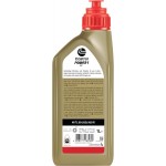 Castrol Power1 2T 1L