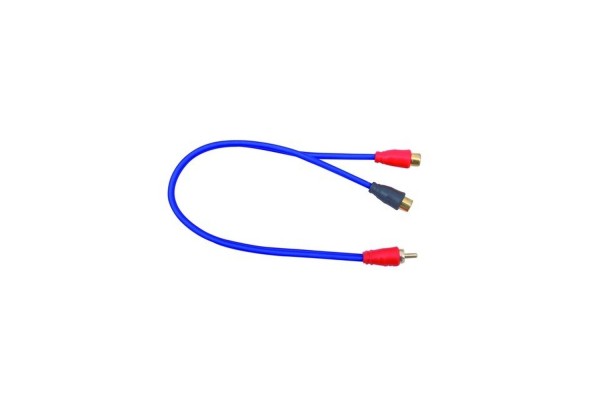 Aiv 890703 Y Rca