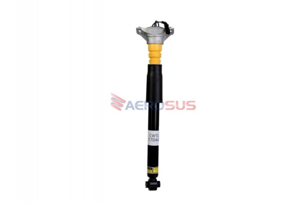 Aerosus Συγκρότημα Πίσω Αμορτισέρ Audi A4 B9/8W Με Cdc 2015, 2016, 2017, 2018, 2019, 2020, 2021, 2022, 2023, 2024, 2025 - 170446