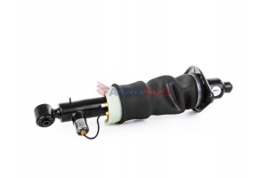 Aerosus Audi A6 C5 4B Allroad Πίσω Αριστερή Ανάρτηση Αέρα 1999, 2000, 2001, 2002, 2003, 2004, 2005 - 163284