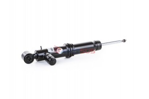 Aerosus Αμορτισέρ Πίσω Αριστερά Audi A6 C5 4B Allroad 1999, 2000, 2001, 2002, 2003, 2004, 2005 - 163277