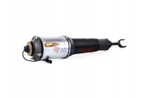 Aerosus Audi A8 D3 (4E) Αμορτισέρ Αερανάρτησης Με Cdc Εμπρός Αριστερά (Κανονική Ανάρτηση) 2002, 2003, 2004, 2005, 2006, 2007, 2008, 2009, 2010 - 163582