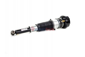 Aerosus Audi A8/S8 D4 4H Πίσω Αριστερή Αερανάρτηση Αμορτισέρ Με Cdc 2009, 2010, 2011, 2012, 2013, 2014, 2015, 2016, 2017 - 165766