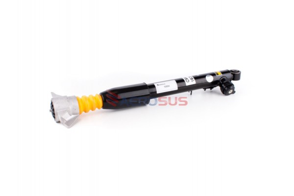 Aerosus Audi Q5 8R Πίσω Δεξί Αμορτισέρ Με Cdc (Συνεχής Έλεγχος Απόσβεσης) 2008-2017 2008, 2009, 2010, 2011, 2012, 2013, 2014, 2015, 2016, 2017 - 163654