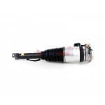 Aerosus Bentley Continental Gt (3W0 / 3W8) Πίσω Αριστερό Αμορτισέρ Αέρα Με Cdc 2003-2018 2003, 2004, 2005, 2006, 2007, 2008, 2009, 2010, 2011, 2012, 2013, 2014, 2015, 2016, 2017, 2018 - 169003