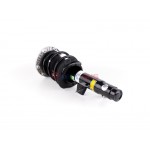 Aerosus Bmw Σειρά 1 Xdrive F20, F20 (LCI), F21, F21 (LCI) Αμορτισέρ Εμπρός Αριστερά (συγκρότημα ελατηρίου) 2011 - 2019 Με Vdc (Μεταβλητό Έλεγχο Αμορτισέρ) 2011, 2012, 2013, 2014, 2015, 2016, 2017, 2018, 2019 - 164452