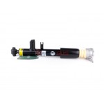 Aerosus Bmw Σειρά 3 F30, F30 LCI, F31, F31 LCI, F34 GT, F34 Gt Lci Πίσω (αριστερά Ή δεξιά) Αμορτισέρ Με Vdc 2011, 2012, 2013, 2014, 2015, 2016, 2017, 2018, 2019 - 164459