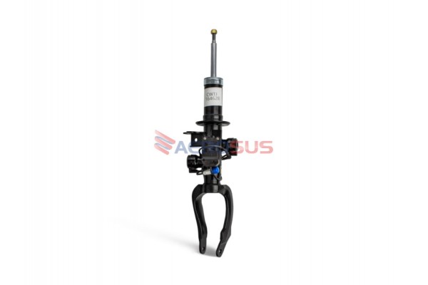 Aerosus Bmw Σειρά 5 Με Vdc F10, F10(LCI) Αμορτισέρ Εμπρός Αριστερά 2010 - 2016 Με Vdc (Μεταβλητό Έλεγχο Αμορτισέρ) 2010, 2011, 2012, 2013, 2014, 2015, 2016 - 164628