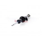 Aerosus Αμορτισέρ Bmw Σειρά 8 G14/G15/G16 Rwd Με Vdc Εμπρός Αριστερά 2018, 2019, 2020, 2021, 2022, 2023 - 170226