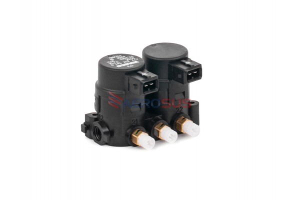 Aerosus Bmw X5 E53 2 Βαλβίδα Συμπιεστή Γωνίας 1999, 2000, 2001, 2002, 2003, 2004, 2005, 2006 - 165630