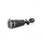 Aerosus Bmw X5 E53 Αμορτισέρ Αέρα Εμπρός Αριστερά 1999, 2000, 2001, 2002, 2003, 2004, 2005, 2006 - 163327