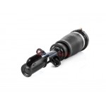 Aerosus Bmw X5 E53 Μπροστινό Δεξί Αμορτισέρ Αέρα 1999, 2000, 2001, 2002, 2003, 2004, 2005, 2006 - 163326