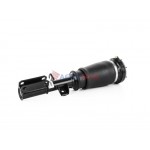 Aerosus Bmw X5 E53 Μπροστινό Δεξί Αμορτισέρ Αέρα 1999, 2000, 2001, 2002, 2003, 2004, 2005, 2006 - 163326