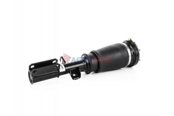 Aerosus Bmw X5 E53 Μπροστινό Δεξί Αμορτισέρ Αέρα 1999, 2000, 2001, 2002, 2003, 2004, 2005, 2006 - 163326