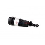 Aerosus Bmw X5 G05 Αμορτισέρ Αέρα Με Vdc Πίσω Δεξιά 2018, 2019, 2020, 2021, 2022 - 170237