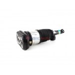Aerosus Bmw X6 G06 Πίσω Αριστερό Αμορτισέρ Αέρα Με Vdc 2019, 2020, 2021, 2022 - 170236
