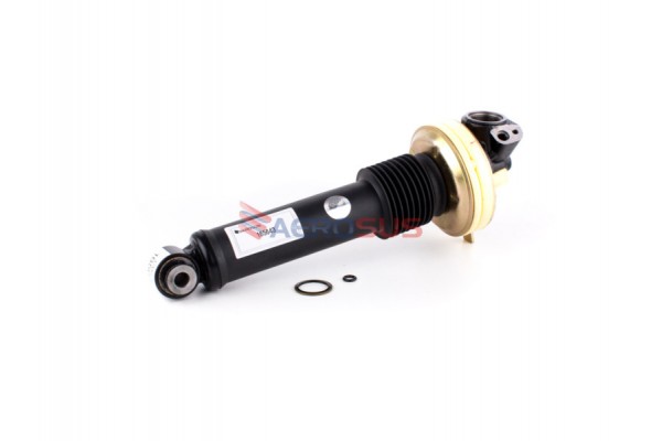 Aerosus Αμορτισέρ Citroen C6 Td Εμπρός Αριστερά 2006, 2007, 2008, 2009, 2010, 2011, 2012 - 165643