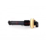 Aerosus Αμορτισέρ Citroen C6 Td Εμπρός Δεξιά 2006, 2007, 2008, 2009, 2010, 2011, 2012 - 165644