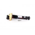 Aerosus Αμορτισέρ Citroen C6 Td Εμπρός Δεξιά 2006, 2007, 2008, 2009, 2010, 2011, 2012 - 165644
