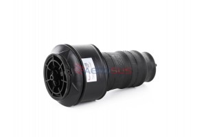 Aerosus Citröen Jumpy/Dispatch Αερανάρτηση Πίσω (Αριστερά Ή Δεξιά) 2007, 2008, 2009, 2010, 2011, 2012, 2013, 2014, 2015, 2016 - 165701