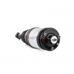 Aerosus Land Rover Discovery 4 L319 Πίσω Αμορτισέρ Αερανάρτησης (Αριστερά Ή Δεξιά) 2009, 2010, 2011, 2012, 2013, 2014, 2015, 2016, 2017 - 163720