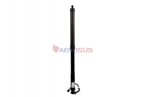 Aerosus Land Rover Range Rover Evoque L538 Πίσω δεξιά, Πίσω Αριστερά Ηλεκτρικές Βάσεις Ανύψωσης Πίσω Πόρτας 2011, 2012, 2013, 2014, 2015, 2016, 2017, 2018, 2019 - 200092