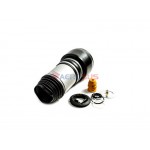 Aerosus Mercedes-Benz E Class W211, S211 Ελατήριο Αέρα Εμπρός Αριστερά 2002, 2003, 2004, 2005, 2006, 2007, 2008, 2009 - 164212