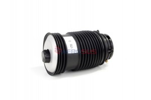 Aerosus Mercedes Benz E-Class S213 T-Modell Αερανάρτηση Πίσω Αριστερά (χωρίς καλώδιο) 2016, 2017, 2018, 2019, 2020, 2021, 2022, 2023 - 179030