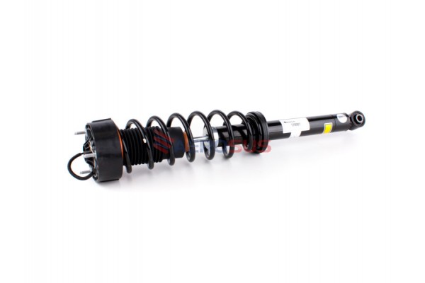 Aerosus Cadillac CT6 4WD Omega Πίσω Δεξί Και Αριστερό Αμορτισέρ (συγκρότημα ελατηρίου) 2016 - 2021 Με Μαγνητική Ανάρτηση 2016, 2017, 2018, 2019, 2020, 2021 - 178907