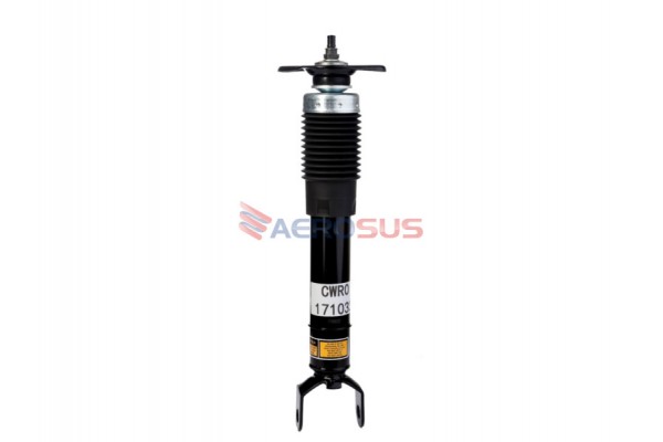 Aerosus Αμορτισέρ Cadillac Xlr Base Πίσω Δεξιά Και Αριστερά 2004 - 2007 Με Mrc (Magnetic Ride) 2004, 2005, 2006, 2007 - 171033