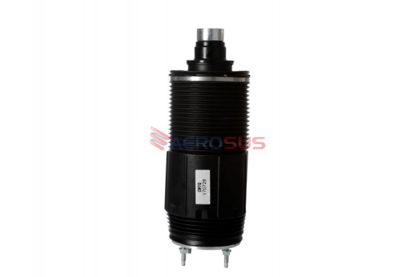 Aerosus Chevrolet Tahoe Πίσω Αριστερά, Πίσω Δεξιά Αερανάρτηση 2021, 2022, 2023, 2024 - 170728
