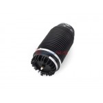 Aerosus Dodge Ram 1500 Πίσω Αερανάρτηση 2009, 2010, 2011, 2012, 2013, 2014, 2015, 2016, 2017, 2018, 2019 - 165864