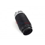 Aerosus Dodge Ram 1500 Πίσω Αερανάρτηση 2009, 2010, 2011, 2012, 2013, 2014, 2015, 2016, 2017, 2018, 2019 - 165864