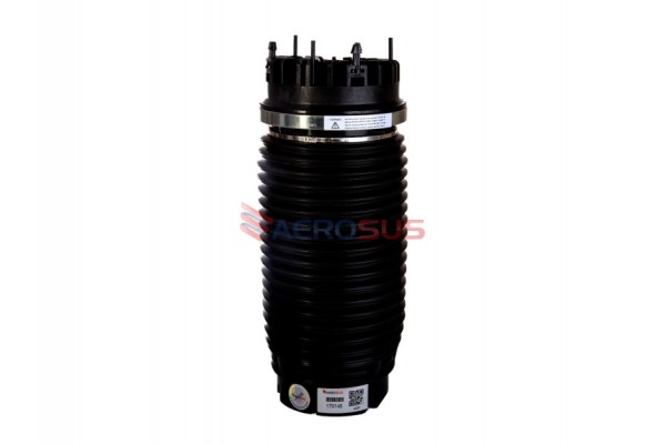 Aerosus Dodge Ram 1500 Πίσω Δεξιά Και Αριστερά Ελατήρια Αέρος 2019 - 2025 2019, 2020, 2021, 2022, 2023, 2024, 2025 - 170145