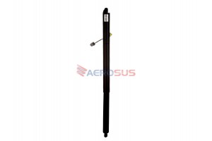 Aerosus Ford Kuga C520 Βάσεις Ανύψωσης Πίσω Αριστερής Πόρτας Χώρου Αποσκευών 2012 - 2019 2012, 2013, 2014, 2015, 2016, 2017, 2018, 2019 - 200241