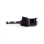 Aerosus Lexus Ls 430 UCF30 (2001-2006) Αμορτισέρ Αέρα Εμπρός Αριστερά Ή Δεξιά 2000, 2001, 2002, 2003, 2004, 2005, 2006 - 179735