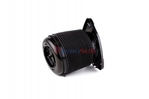 Aerosus Lexus Rx RX270, RX350, RX450h (2009-2015) Πίσω Δεξί Αερανάρτημα 2009, 2010, 2011, 2012, 2013, 2014, 2015 - 170903