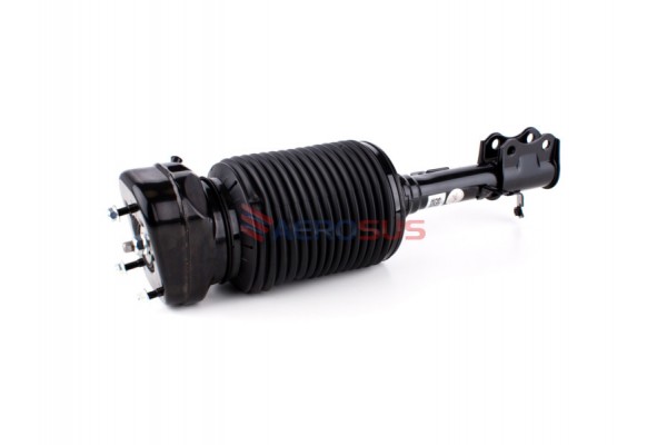 Aerosus Lexus Rx 4WD XU30 Πίσω Αριστερό Αμορτισέρ Αέρος 2004 - 2008 2003, 2004, 2005, 2006, 2007 - 170896