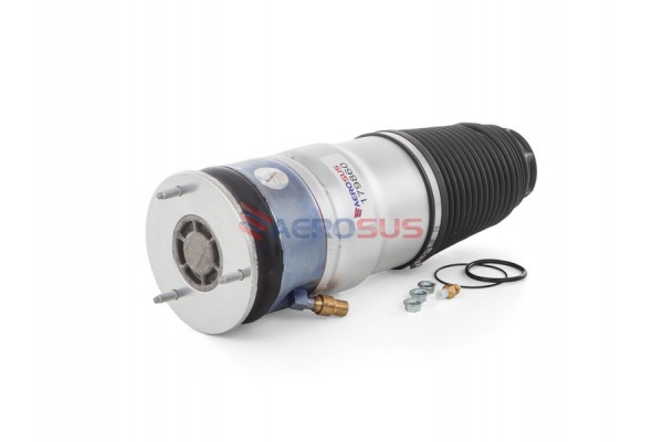 Aerosus Tesla Model S (2012-2016) Εμπρός Αεραντήριο 2012, 2013, 2014, 2015, 2016 - 179860