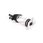 Aerosus Tesla Model S Αμορτισέρ Αέρα Με Asd (ανάρτηση Raven) Πίσω Δεξιά 2021, 2022, 2023, 2024, 2025 - 178966