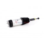 Aerosus Tesla Model X (2015-2021) Αμορτισέρ Αέρα Πίσω (αριστερά Ή δεξιά) 2015, 2016, 2017, 2018, 2019, 2020, 2021 - 171080
