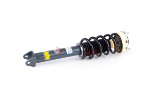 Aerosus Συγκρότημα Πίσω Αμορτισέρ Porsche 911 (997) Χωρίς Pasm 2004, 2005, 2006, 2007, 2008, 2009, 2010, 2011, 2012, 2013 - 179757