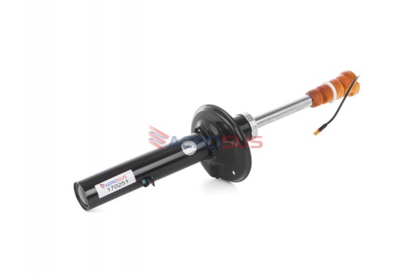 Aerosus Πίσω Αμορτισέρ Porsche 718 Boxster Με Pasm 2016, 2017, 2018, 2019, 2020, 2021, 2022, 2023 - 170251